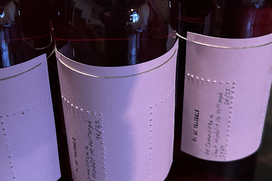 vi-trasbals-salvador-giralt-jordi-lafon-00